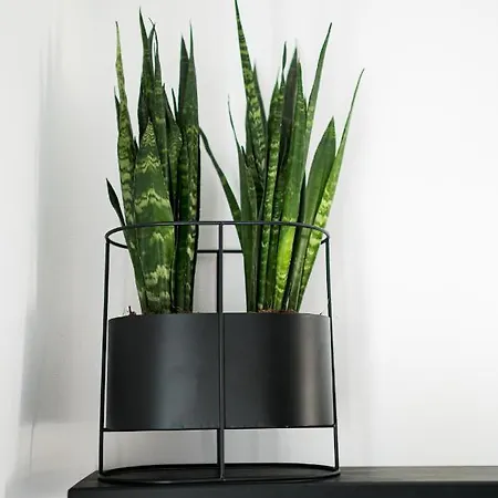 Silvair I By Silvernoses, Mykonos * Mykonos Town